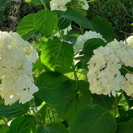 семеен атива - Family Ativa 3*